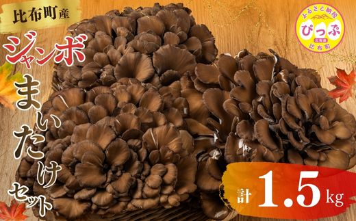 ジャンボまいたけ 1.5kg（500g×3）セット【北海道きのこ品評会 最優秀賞受賞】【遠藤農産】きのこ キノコ セット 詰め合わせ 舞茸 国産 北海道産 北海道 比布町 ぴっぷ 1002-003