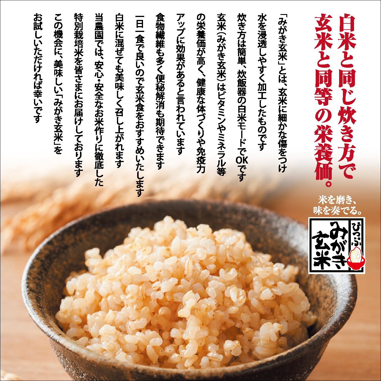 莉、蜥7蟷エ逕」 迚ケ蛻・譬ス蝓ケ邀ウ 繧繧√エ繧翫° 縺ソ縺後″邇邀ウ 5kg縲占・ソ髢楢セイ蝨偵醍私邀ウ 縺顔アウ 邀ウ 蛹玲オキ驕鍋肇 蛹玲オキ驕鍋アウ 迚ケA繝ゥ繝ウ繧ッ 蝗ス逕」 繧ウ繝。 JGAP隱崎ィシ霎イ蝣エ 蛹玲オキ驕 豈泌ク逕コ 縺エ縺」縺キ 1005-051