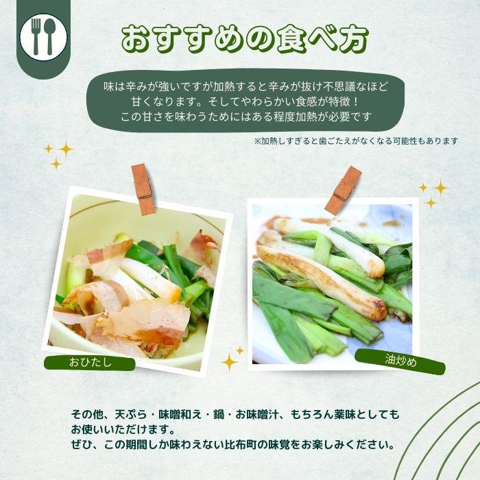 【2026年1月発送】比布町産ねぎ（千本ねぎ）「旬の彩り。」 10束【JAぴっぷ町】ねぎ ネギ 葱 長ネギ 冬限定 野菜 特産 北海道 比布町 ぴっぷ 1001-008