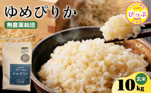 令和7年産 新米 ゆめぴりか 玄米 10kg【今野農園】無農薬栽培 農薬不使用 化学肥料不使用 米 お米 北海道米 特Aランク 国産 コメ 2025年産 北海道 比布町 ぴっぷ 1012-008