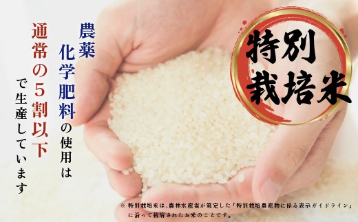 莉、蜥7蟷エ逕」 迚ケ蛻・譬ス蝓ケ邀ウ 繧繧√エ繧翫° 2kg縲舌リ繝翫励Λ繧カ縲醍アウ 縺顔アウ 蛹玲オキ驕鍋肇 蛹玲オキ驕鍋アウ 迚ケA繝ゥ繝ウ繧ッ 蝗ス逕」 逋ス邀ウ 繧ウ繝。 蛹玲オキ驕 豈泌ク逕コ 縺エ縺」縺キ 1021-011