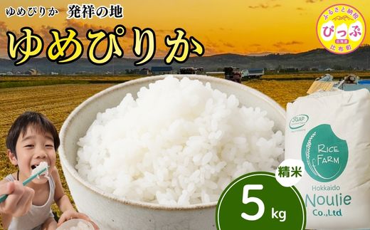 令和7年産 ゆめぴりか 精米 5kg【農業生産法人ノウリエ】米 お米 北海道米 特Aランク 国産 白米 コメ 北海道 比布町 ぴっぷ 1017-005
