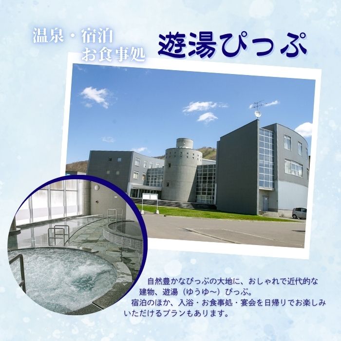 【2025〜2026シーズン】ぴっぷスキー場 1日券【ファミリーパック】1枚【比布町】スキー スノーボード スノボ 利用券 チケット 冬 北海道 比布町 ぴっぷ 1455-003