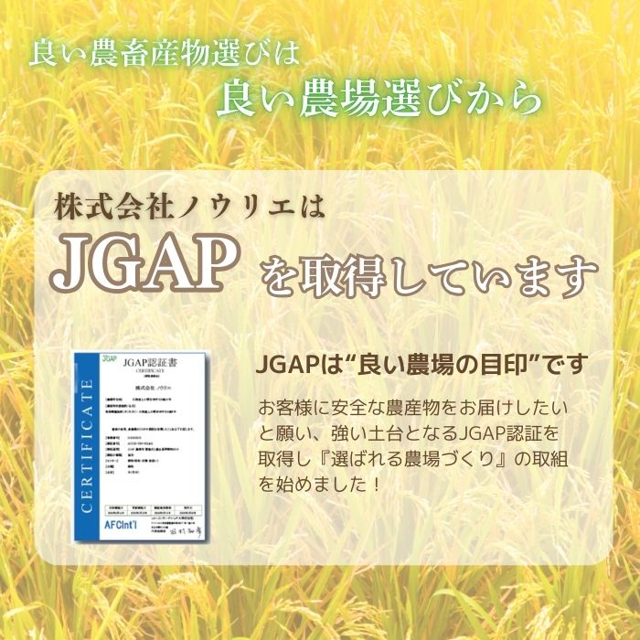 令和7年産 ゆめぴりか 精米 5kg【農業生産法人ノウリエ】米 お米 北海道米 特Aランク 国産 白米 コメ 北海道 比布町 ぴっぷ 1017-005