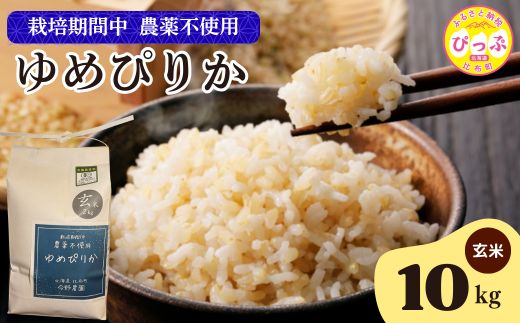 令和7年産 今野農園 ゆめぴりか 玄米 10kg 【ピリカ(株)】 化学肥料不使用 米 お米 北海道米 特Aランク 国産 コメ 2025年産 北海道 比布町 ぴっぷ 1012-008