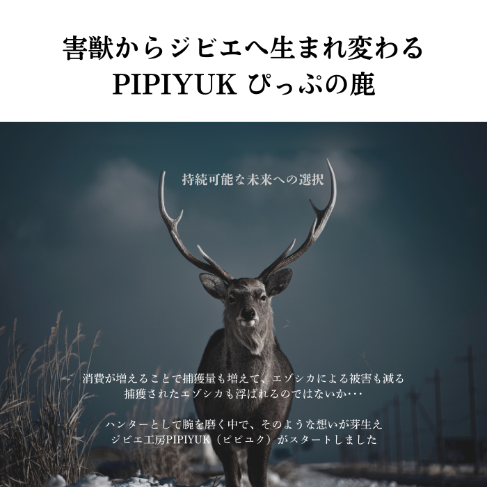 PIPIYUK　エゾ鹿角（角鹿おもちゃ）