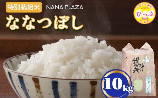 令和7年産 新米 特別栽培米 ななつぼし 10kg【ナナプラザ】米 お米 北海道産 北海道米 特Aランク 国産 白米 コメ 北海道 比布町 ぴっぷ 1021-004