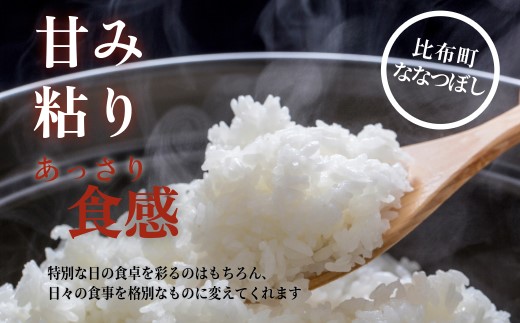令和7年産 特別栽培米 ななつぼし 5kg【ナナプラザ】米 お米 北海道産 北海道米 特Aランク 国産 白米 コメ 北海道 比布町 ぴっぷ 1021-003