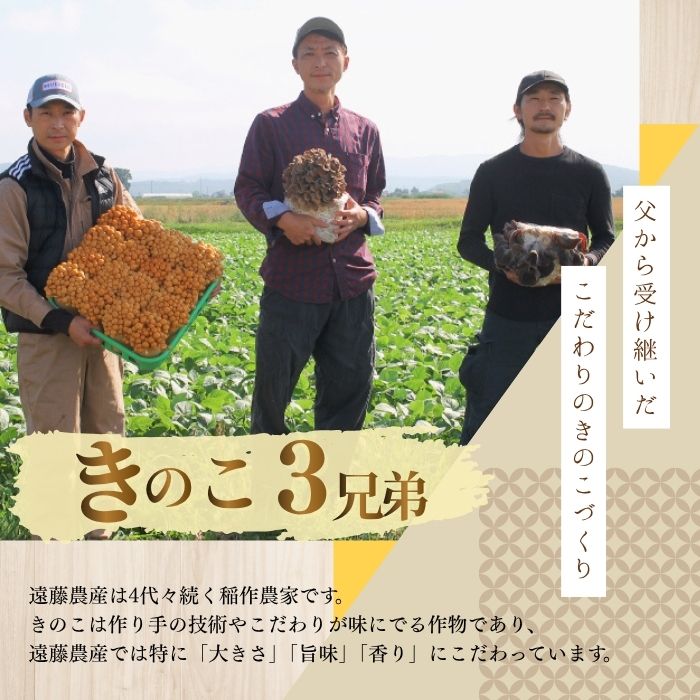 なめこ 約1kg（180g×6）セット【北海道きのこ品評会 最優秀賞受賞】【遠藤農産】きのこ キノコ セット 詰め合わせ 滑子 国産 北海道産 北海道 比布町 ぴっぷ 1002-004