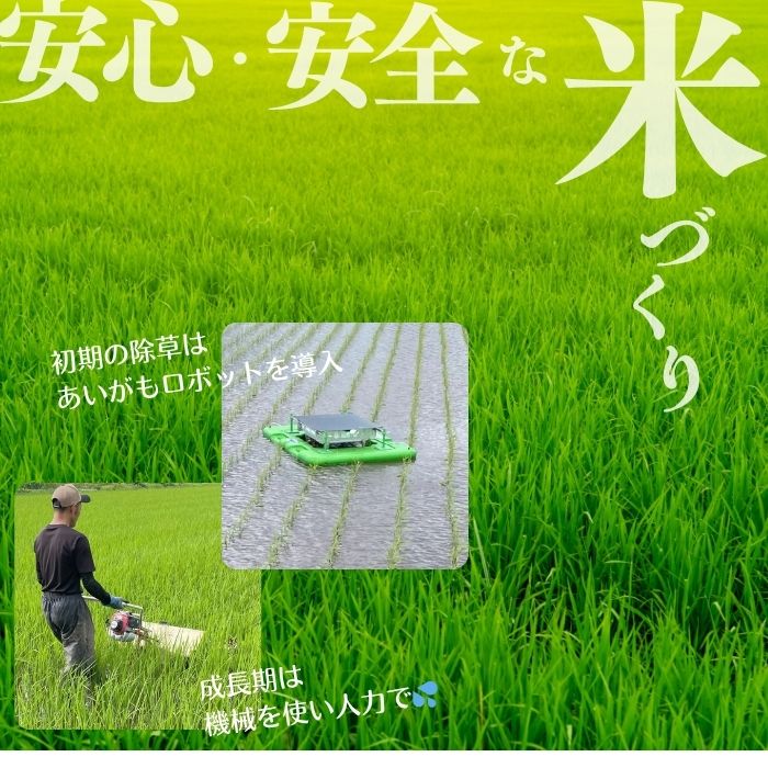 令和7年産 今野農園 ゆめぴりか 玄米 2kg 【ピリカ(株)】 化学肥料不使用 米 お米 北海道米 特Aランク 国産 コメ 2025年産 北海道 比布町 ぴっぷ 1012-006