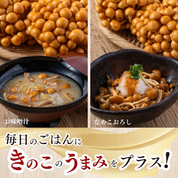 なめこ 約1kg（180g×6）セット【北海道きのこ品評会 最優秀賞受賞】【遠藤農産】きのこ キノコ セット 詰め合わせ 滑子 国産 北海道産 北海道 比布町 ぴっぷ 1002-004