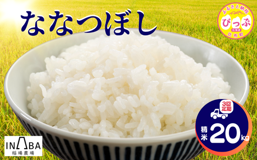 令和7年産 ななつぼし 精米 20kg 3回 定期便【稲場農場】米 お米 北海道米 特Aランク 国産 白米 コメ 北海道 比布町 ぴっぷ 1024-009