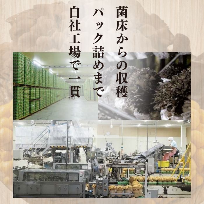 なめこ 約1kg（180g×6）セット【北海道きのこ品評会 最優秀賞受賞】【遠藤農産】きのこ キノコ セット 詰め合わせ 滑子 国産 北海道産 北海道 比布町 ぴっぷ 1002-004