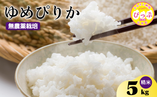 令和7年産 新米 ゆめぴりか 精米 5kg【今野農園】無農薬栽培 農薬不使用 化学肥料不使用 米 お米 北海道米 特Aランク 国産 白米 コメ 2025年産 北海道 比布町 ぴっぷ 1012-004