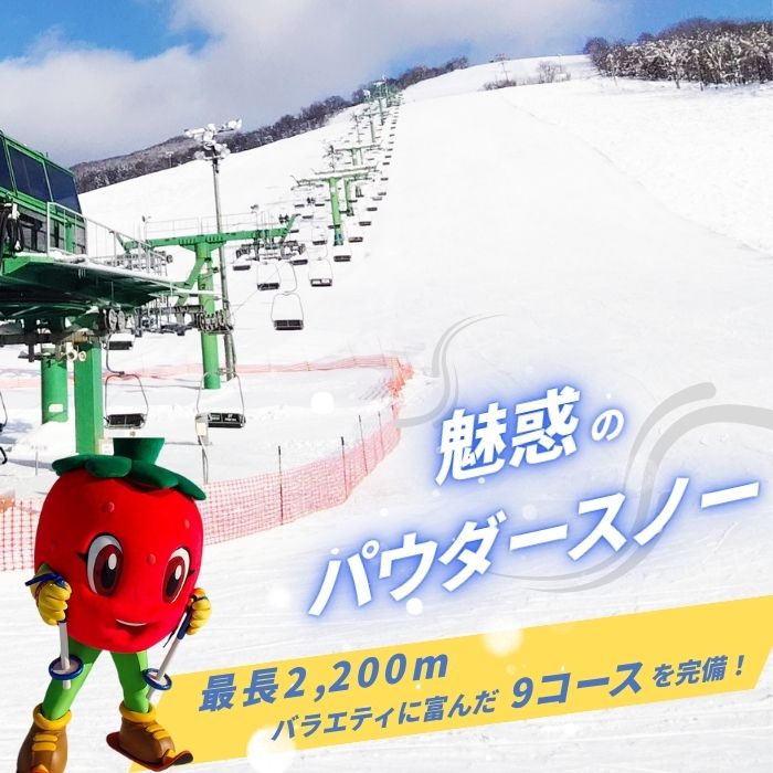 【2025〜2026シーズン】ぴっぷスキー場 1日券【大人】1枚【比布町】スキー スノーボード スノボ 利用券 チケット 冬 北海道 比布町 ぴっぷ 1455-006