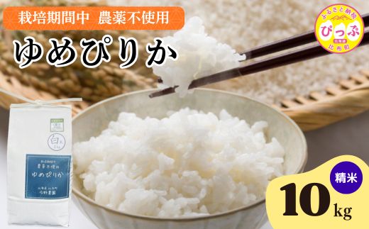 令和7年産 今野農園 ゆめぴりか 精米 10kg 【ピリカ(株)】 化学肥料不使用 米 お米 北海道米 特Aランク 国産 白米 コメ 2025年産 北海道 比布町 ぴっぷ 1012-005