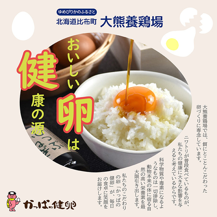 かっぱの健卵 15個入り【大熊養鶏場】たまご 卵 玉子 タマゴ 生卵 こだわり 卵かけご飯 TKG 国産 お取り寄せ 北海道 比布町 ぴっぷ 1006-001