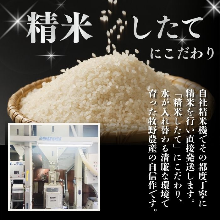 莉、蜥7蟷エ逕」 縺ェ縺ェ縺、縺シ縺 邊セ邀ウ 10kg縲千鴬驥手セイ逕」縲醍アウ 縺顔アウ 蛹玲オキ驕鍋アウ 迚ケA繝ゥ繝ウ繧ッ 蝗ス逕」 逋ス邀ウ 繧ウ繝。 蛹玲オキ驕 豈泌ク逕コ 縺エ縺」縺キ 1014-005