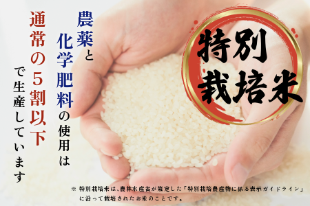 莉、蜥7蟷エ逕」 迚ケ蛻・譬ス蝓ケ邀ウ 繧繧√エ繧翫° 10kg縲舌リ繝翫励Λ繧カ縲醍アウ 縺顔アウ 蛹玲オキ驕鍋肇 蛹玲オキ驕鍋アウ 迚ケA繝ゥ繝ウ繧ッ 蝗ス逕」 逋ス邀ウ 繧ウ繝。 蛹玲オキ驕 豈泌ク逕コ 縺エ縺」縺キ 1021-002