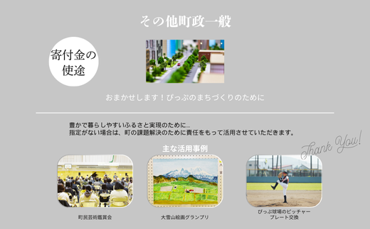 【返礼品なし】北海道比布町への寄付 1000円 1000 寄付のみ 返礼品無し 北海道 比布町 ぴっぷ 1455-101