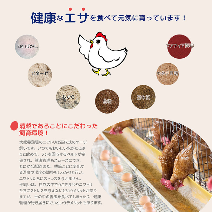 かっぱの健卵 20個入り【大熊養鶏場】たまご 卵 玉子 タマゴ 生卵 こだわり 卵かけご飯 TKG 国産 お取り寄せ 北海道 比布町 ぴっぷ 1006-002