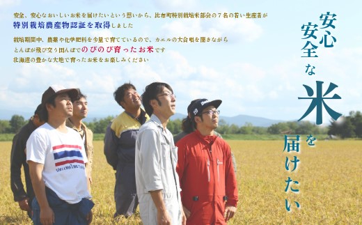 令和7年産 特別栽培米 ななつぼし 5kg【ナナプラザ】米 お米 北海道産 北海道米 特Aランク 国産 白米 コメ 北海道 比布町 ぴっぷ 1021-003