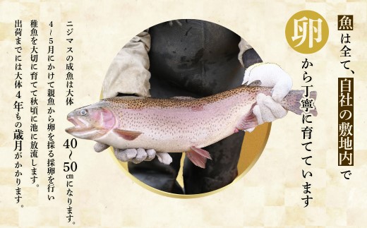 ぴっぷサーモン にじますイクラ 醤油漬け 320g（80g×4個）【にじます工房】サーモン ニジマス 鱒 ますいくら 鱒いくら イクラ いくら しょうゆ漬け 魚卵 鱒卵 養殖 小分け 便利 北海道 比布町 ぴっぷ 1009-001