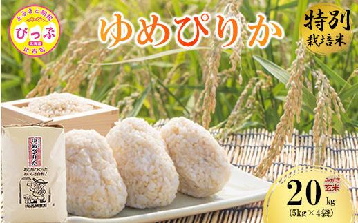 莉、蜥7蟷エ逕」 迚ケ蛻・譬ス蝓ケ邀ウ 繧繧√エ繧翫° 縺ソ縺後″邇邀ウ 20kgシ5kgテ4シ峨占・ソ髢楢セイ蝨偵醍私邀ウ 縺顔アウ 邀ウ 蛹玲オキ驕鍋肇 蛹玲オキ驕鍋アウ 迚ケA繝ゥ繝ウ繧ッ 蝗ス逕」 繧ウ繝。 JGAP隱崎ィシ霎イ蝣エ 蛹玲オキ驕 豈泌ク逕コ 縺エ縺」縺キ 1005-053