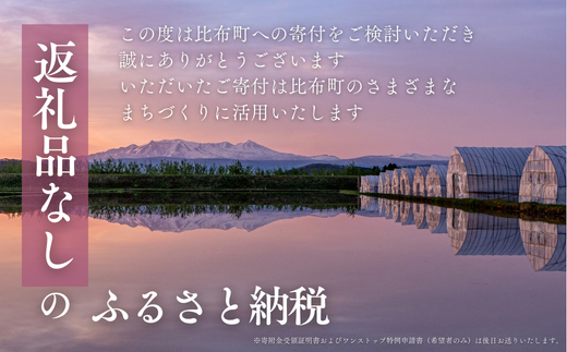 【返礼品なし】北海道比布町への寄付 1000円 1000 寄付のみ 返礼品無し 北海道 比布町 ぴっぷ 1455-101