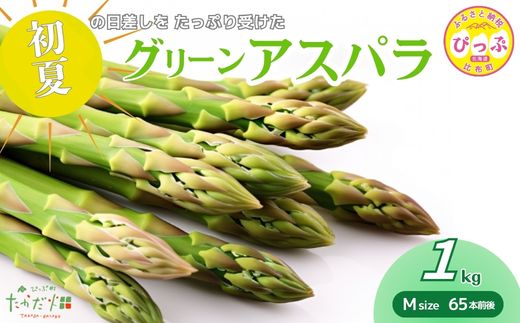 【2026年6月中旬から発送】比布町産 グリーンアスパラ Mサイズ 1kg（65本前後）【たかだ畑】アスパラガス 野菜 新鮮 緑黄色野菜 国産 北海道産 産地直送 北海道 比布町 ぴっぷ 1018-016