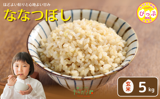 令和7年産 ななつぼし 玄米 5kg【たかだ畑】 米 お米 北海道米 特Aランク 国産 玄米 コメ 2025年産 北海道 比布町 ぴっぷ 1018-014
