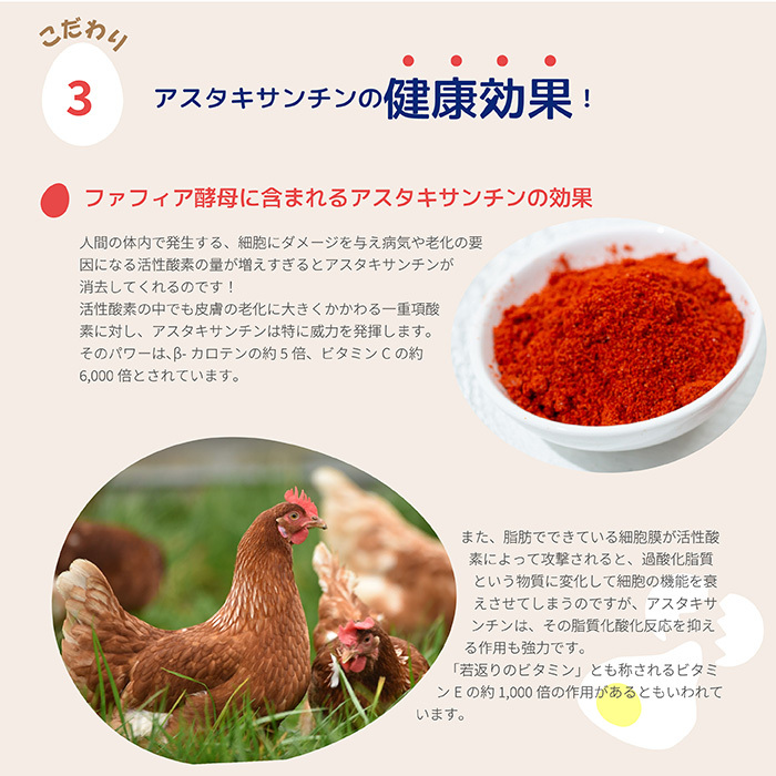 かっぱの健卵 20個入り【大熊養鶏場】たまご 卵 玉子 タマゴ 生卵 こだわり 卵かけご飯 TKG 国産 お取り寄せ 北海道 比布町 ぴっぷ 1006-002