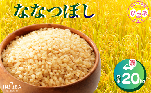 令和7年産 ななつぼし 玄米 20kg 3回 定期便【稲場農場】米 お米 北海道米 特Aランク 国産 コメ 北海道 比布町 ぴっぷ 1024-011