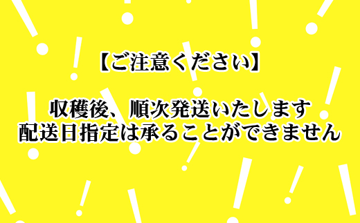 【2025年４月中旬から発送】ノウリエファーム　北海道比布町産 春アスパラ　１㎏