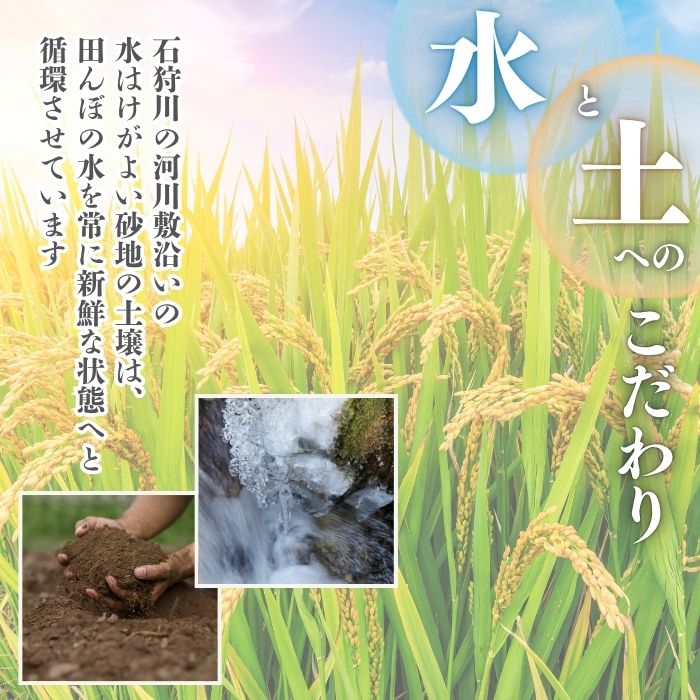 莉、蜥7蟷エ逕」 縺ェ縺ェ縺、縺シ縺 邊セ邀ウ 10kg縲千鴬驥手セイ逕」縲醍アウ 縺顔アウ 蛹玲オキ驕鍋アウ 迚ケA繝ゥ繝ウ繧ッ 蝗ス逕」 逋ス邀ウ 繧ウ繝。 蛹玲オキ驕 豈泌ク逕コ 縺エ縺」縺キ 1014-005