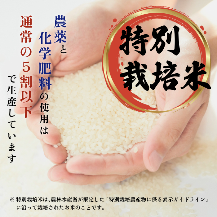 莉、蜥7蟷エ逕」 迚ケ蛻・譬ス蝓ケ邀ウ 縺ェ縺ェ縺、縺シ縺 5kg縲舌リ繝翫励Λ繧カ縲醍アウ 縺顔アウ 蛹玲オキ驕鍋肇 蛹玲オキ驕鍋アウ 迚ケA繝ゥ繝ウ繧ッ 蝗ス逕」 逋ス邀ウ 繧ウ繝。 蛹玲オキ驕 豈泌ク逕コ 縺エ縺」縺キ 1021-003