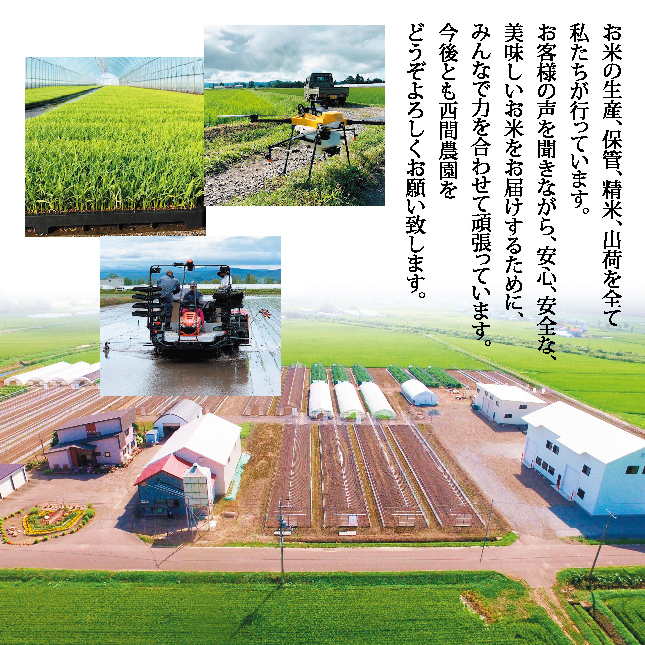莉、蜥7蟷エ逕」 迚ケ蛻・譬ス蝓ケ邀ウ 縺ェ縺ェ縺、縺シ縺 縺ソ縺後″邇邀ウ 5kg縲占・ソ髢楢セイ蝨偵 邇邀ウ 縺顔アウ 邀ウ 蛹玲オキ驕鍋肇 蛹玲オキ驕鍋アウ 迚ケA繝ゥ繝ウ繧ッ 蝗ス逕」 繧ウ繝。 JGAP隱崎ィシ霎イ蝣エ 蛹玲オキ驕 豈泌ク逕コ 縺エ縺」縺キ 1005-031