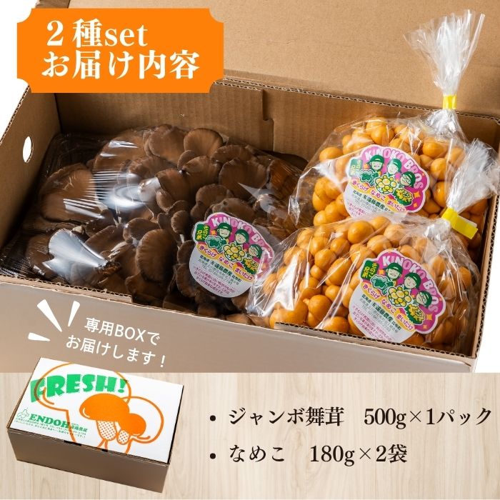 きのこ2種セット 計860g ジャンボまいたけ 500g なめこ 180g×2【北海道きのこ品評会 最優秀賞受賞】【遠藤農産】きのこ キノコ セット 詰め合わせ 舞茸 滑子 国産 北海道産 北海道 比布町 ぴっぷ 1002-001