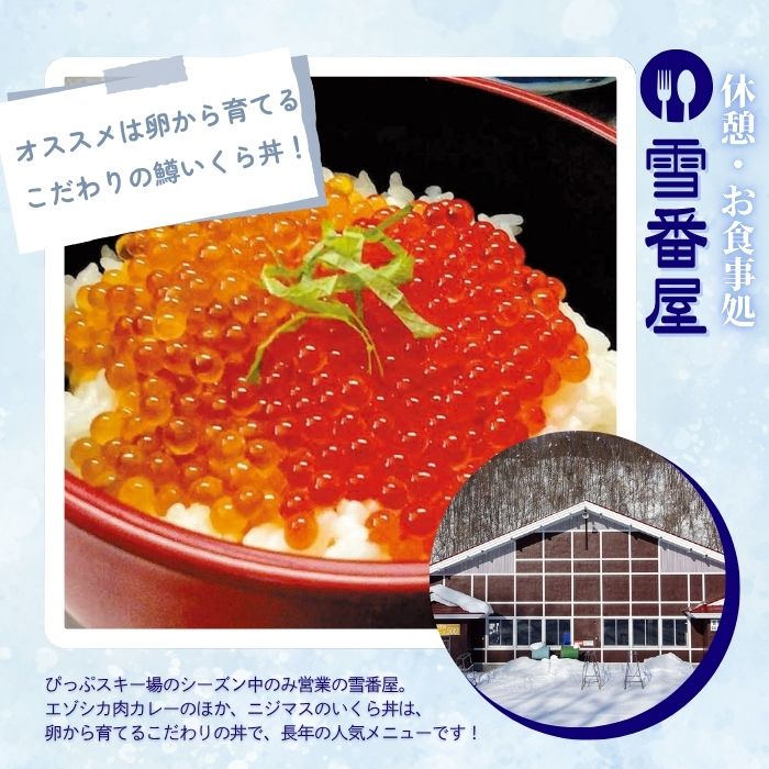 【2025〜2026シーズン】ぴっぷスキー場 1日券【大人】1枚【比布町】スキー スノーボード スノボ 利用券 チケット 冬 北海道 比布町 ぴっぷ 1455-006