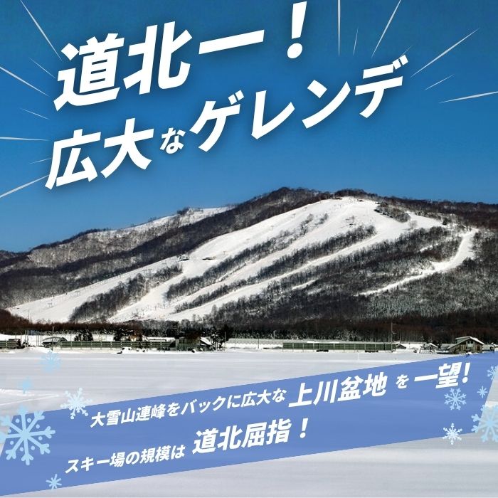 【2025〜2026シーズン】ぴっぷスキー場 1日券【大人】1枚【比布町】スキー スノーボード スノボ 利用券 チケット 冬 北海道 比布町 ぴっぷ 1455-006