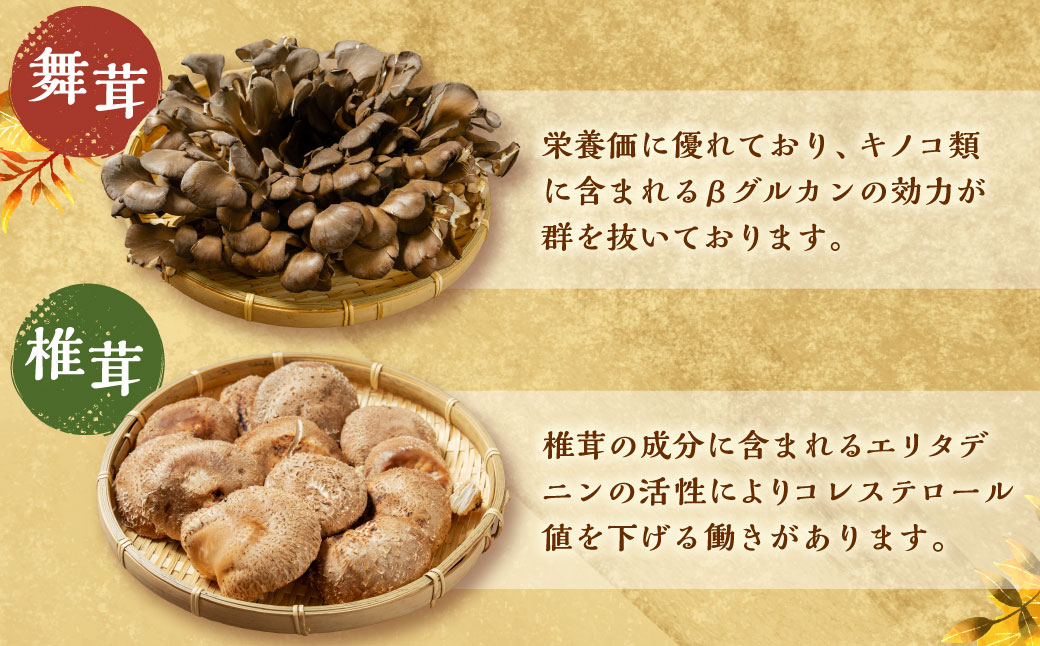 愛別 きのこ 詰合せ（6種類）セット【B05201】