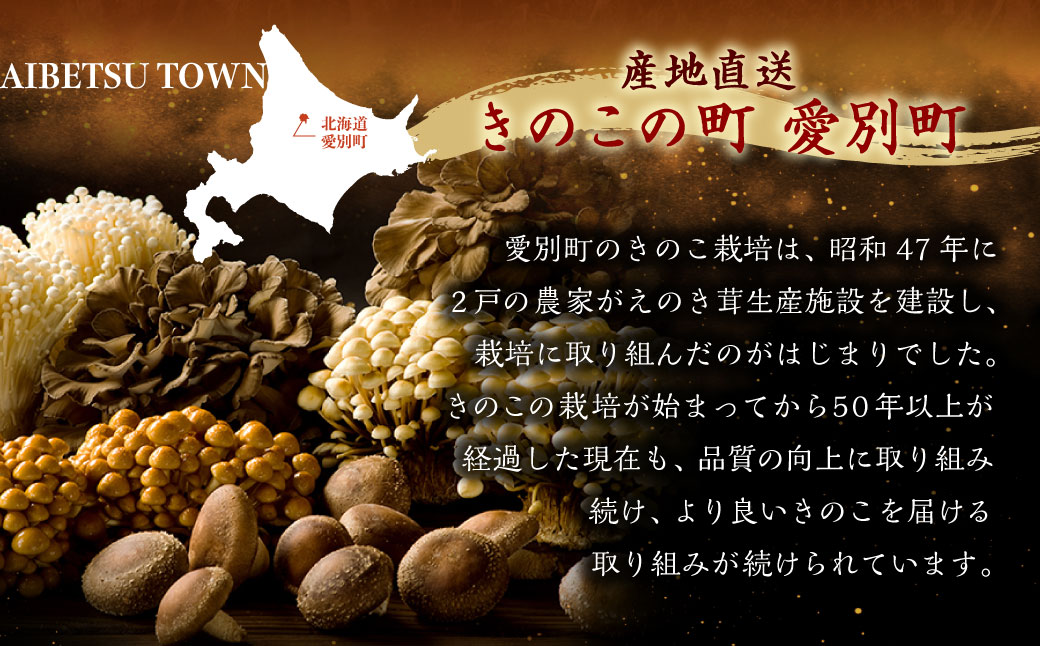 愛別 きのこ 詰合せ（6種類）セット【B05201】