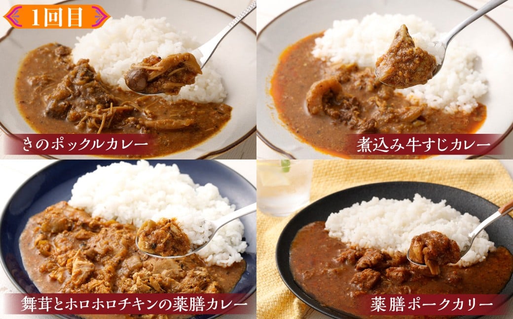 カラダ想いのスパイスカレープラスワン（カレー4種×2回、カレー２種ときのこご飯の素１種2袋×1回）毎月【3回定期便】 きのポックルカレー まぜてご飯 豚バラジンジャーカリー きのこスパイスカレー 薬膳ビーフカリー スープカレーベース ベジタブルカレー バターチキンカレー 薬膳ポークカリー 煮込み牛すじカレー 舞茸とホロホロチキンの薬膳カレー スパイスカレー カレー カレーライス 3回 定期便