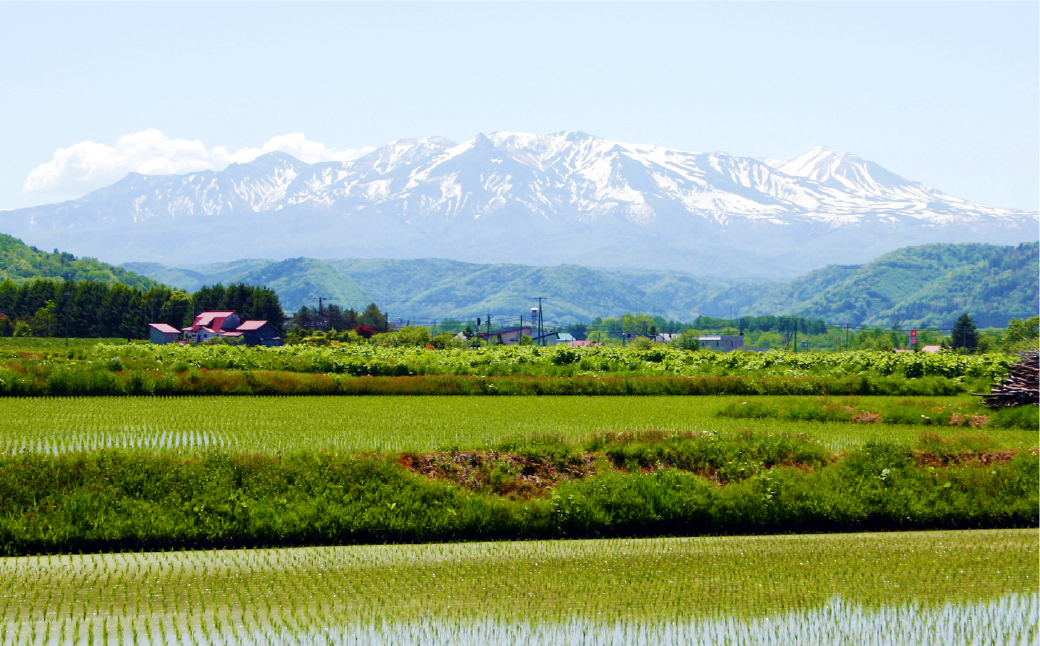 諢帛挨逕コ縺ク縺ョ蟇髯 5,000蜀 シ郁ソ皮、シ蜩√ッ縺ゅj縺セ縺帙sシ