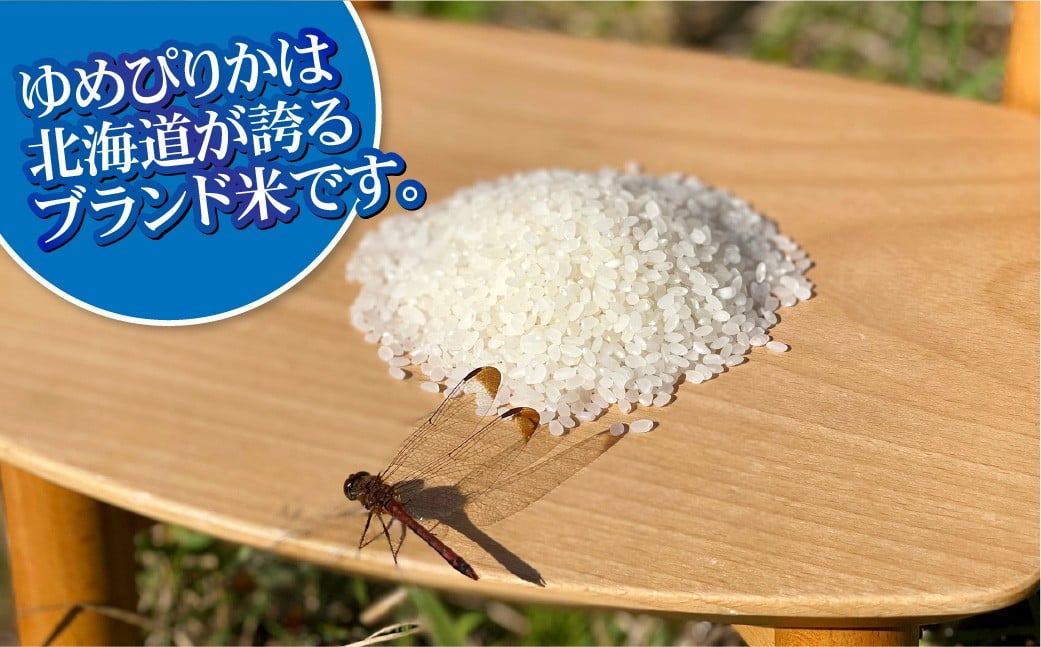 ãæèŸ²åã®ãSTAR RICEãã ãããŽãã2å à 5ããã¯ ïœ èš1.5kg æäžå質米 ã飯 ãã¯ã ç±³ ãç±³ ããã ã©ã€ã¹ ãã ã³ã¡ ãã«ãã ãªãŸãã ããšãªã¢ ãåŒåœ å°åããµã€ãº ç空 é·æä¿å å®¶åºçš èªå®
çš ç£å°çŽé åæµ·é æå¥çº