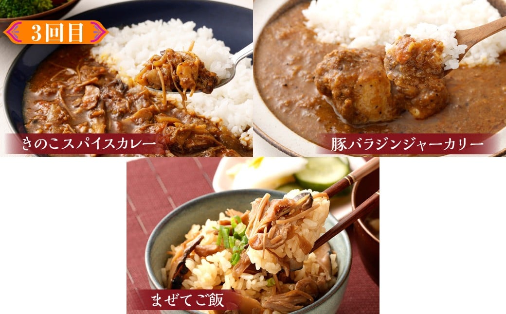 カラダ想いのスパイスカレープラスワン（カレー4種×2回、カレー２種ときのこご飯の素１種2袋×1回）毎月【3回定期便】 きのポックルカレー まぜてご飯 豚バラジンジャーカリー きのこスパイスカレー 薬膳ビーフカリー スープカレーベース ベジタブルカレー バターチキンカレー 薬膳ポークカリー 煮込み牛すじカレー 舞茸とホロホロチキンの薬膳カレー スパイスカレー カレー カレーライス 3回 定期便