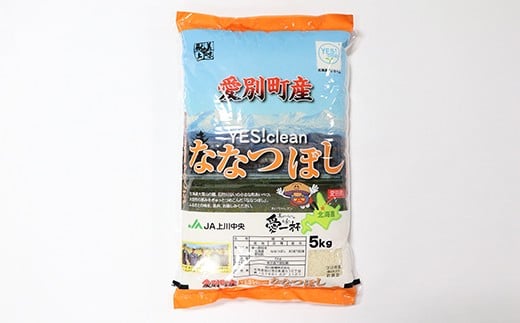 愛別町産米（ななつぼし5kg×2袋）【A11201】
