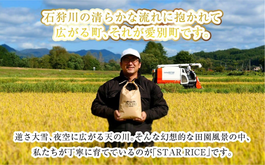 【お試しサイズで食べ比べ！】 ゆめぴりか・ななつぼし食べ比べパック 計20kg （ゆめぴりか10kg・ななつぼし10kg） ｜ 最上品質米 ご飯 ごはん 米 お米 おこめ ライス こめ コメ おにぎり リゾット パエリア お弁当 小分けサイズ 真空 長期保存 家庭用 自宅用 産地直送 北海道 愛別町