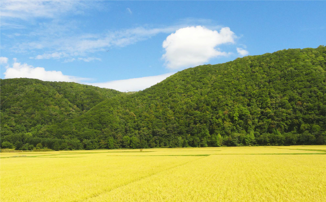 愛別町への寄附 50,000円 （返礼品はありません）