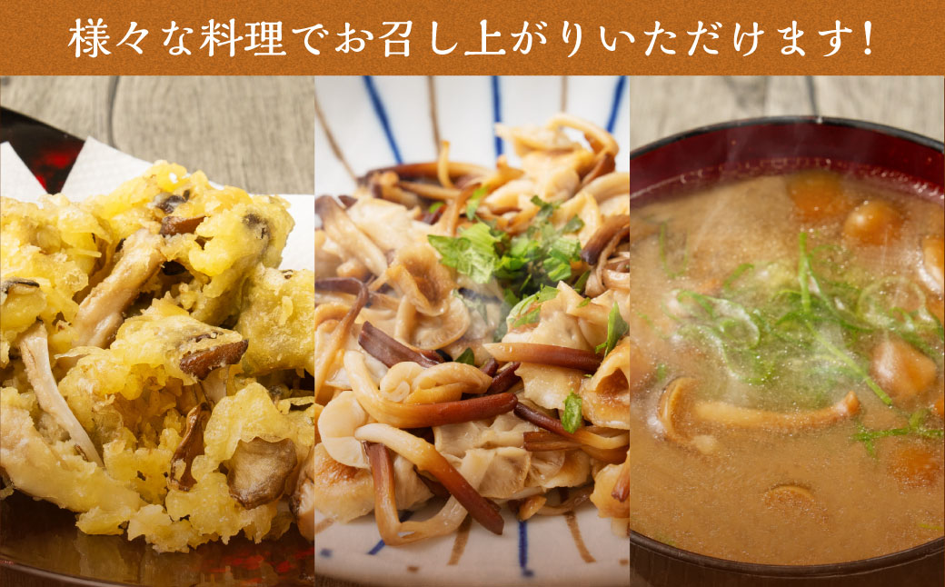 愛別 きのこ 詰合せ（6種類）セット【B05201】